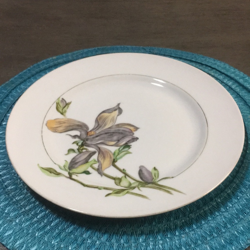 Harmony House Alice dinner plate